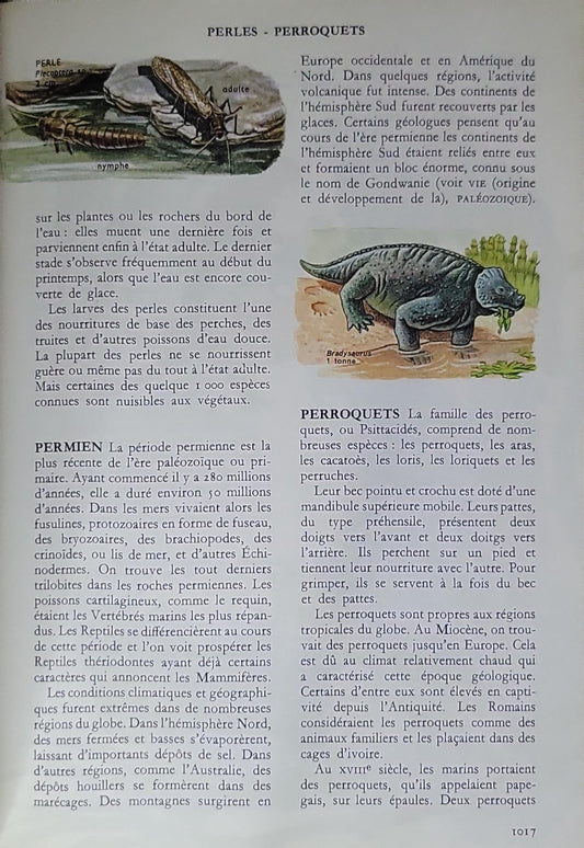 Histoire naturelle pour garçons et filles: Les Encyclopédies du livre d'or (8 tomes)