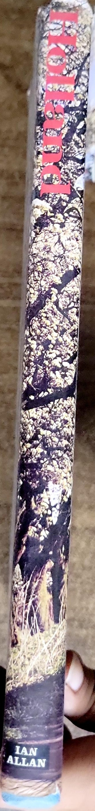 Holland: a furacoldoer