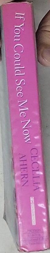 If You Could See Me Now