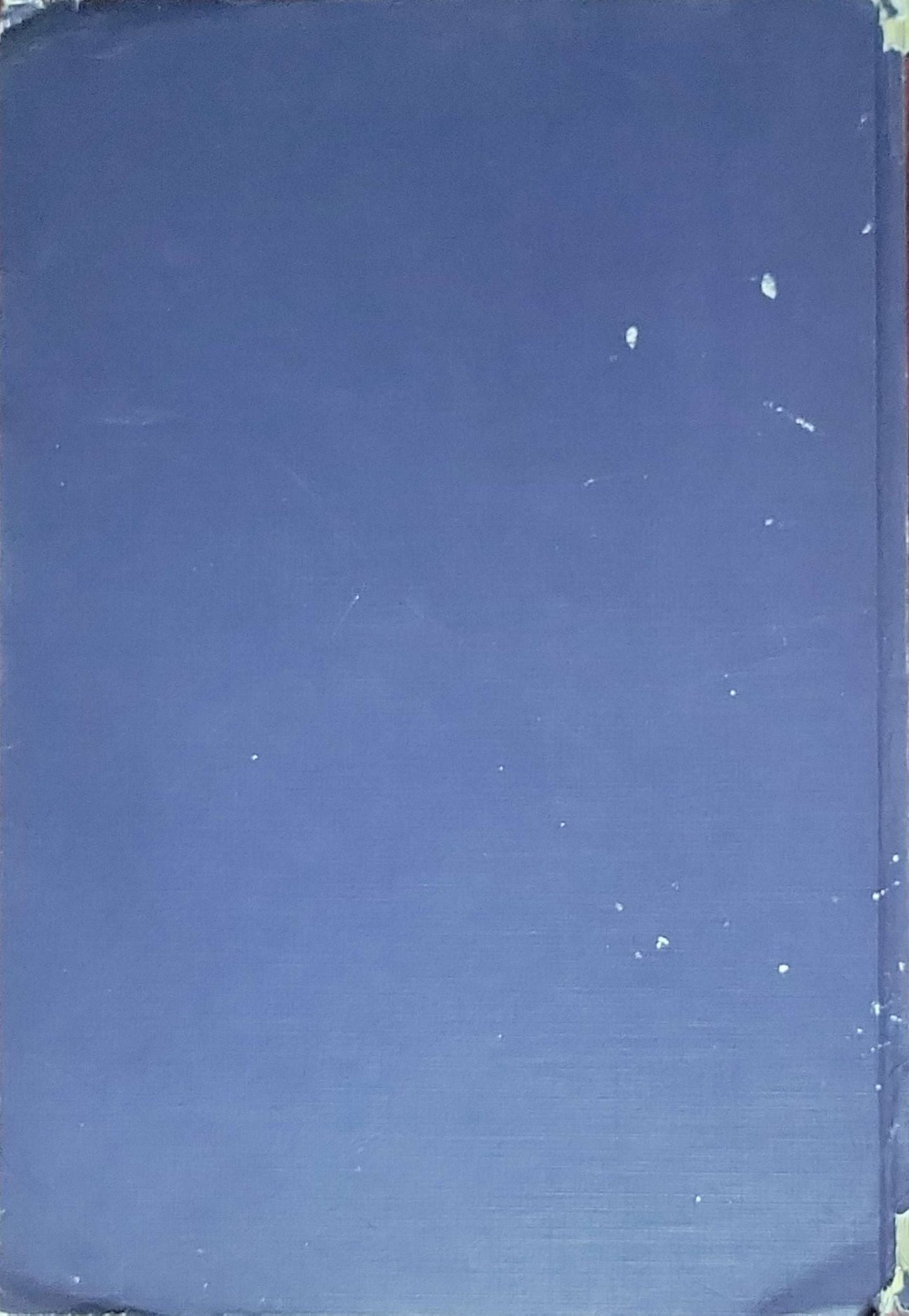 British International School Cairo from the year 1996