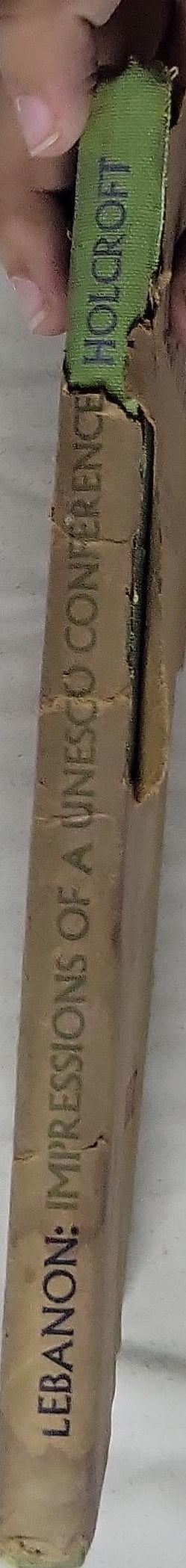 Impressions of a UNESCO Conference: Lebanon