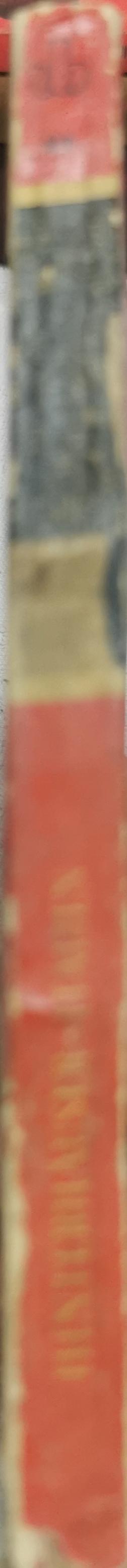 Italien Zwischen Schwarz und Rot: Die Wissenschaftliche Taschenbuchreihe By Hans Hinterhäuser