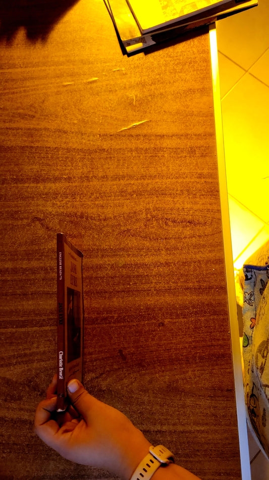 Jane Eyre: Illustrated Chosen Classics