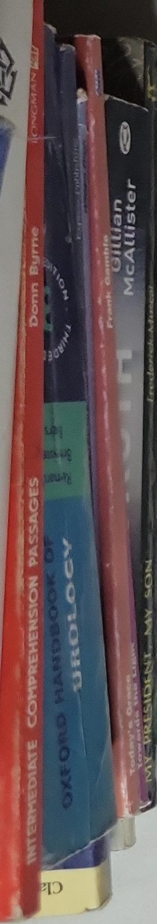 Key Words: 8b The Big House: (The Key Words Reading Scheme, Book 8b)