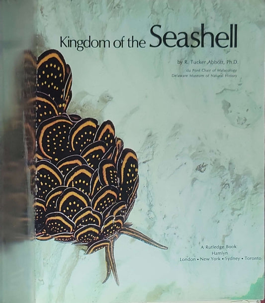 Kingdom of the Seashell