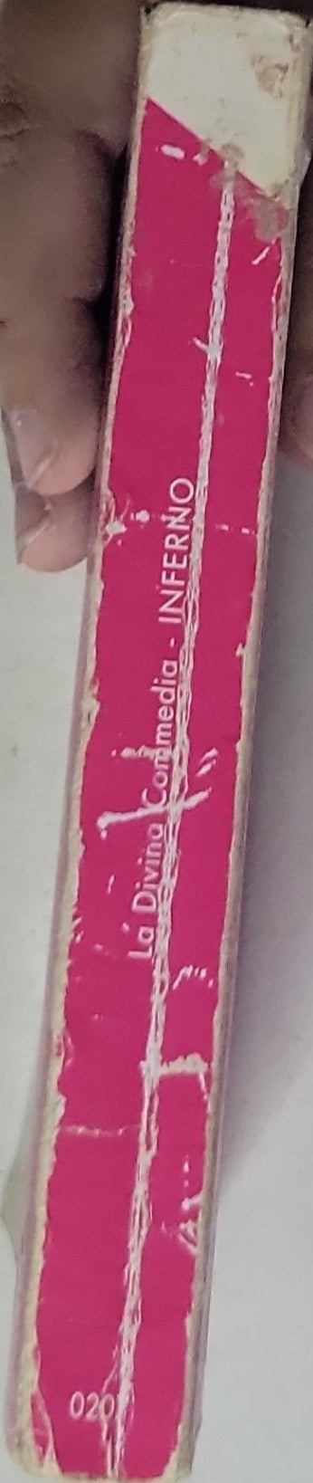 La Divina Commedia: testo integrale con versione in prosa