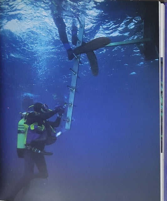 La plongée sous-marine