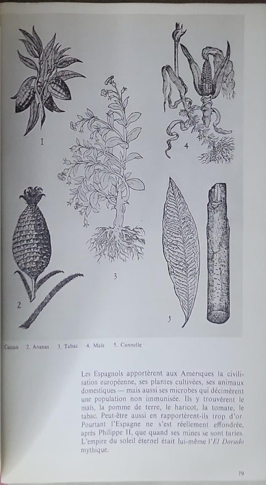 L'ESPAGNE AU TEMPS DE PHILIPPE II