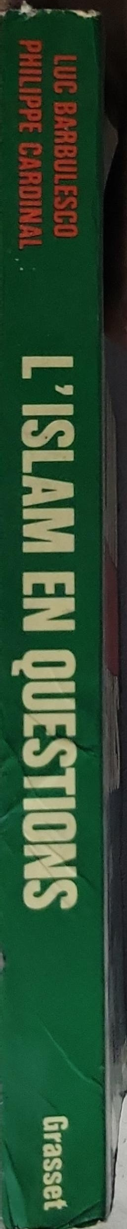 L'islam en questions: Vingt-quatre écrivains arabes répondent