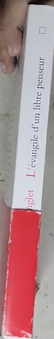 L'Évangile d'un libre penseur: Dieu serait-il laïque ?