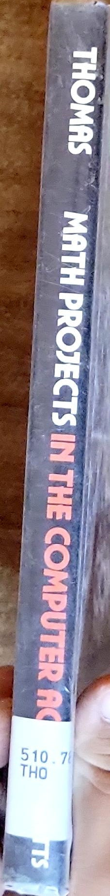 Math Projects in the Computer Age: Projects for Young Scientists