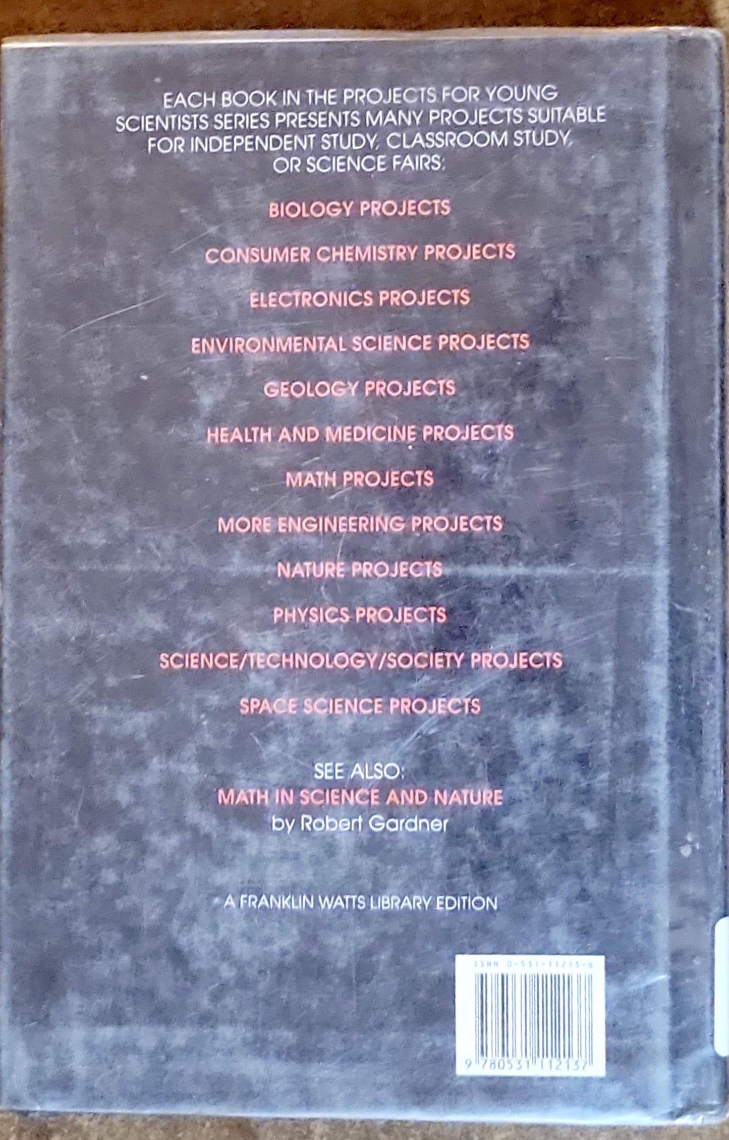 Math Projects in the Computer Age: Projects for Young Scientists