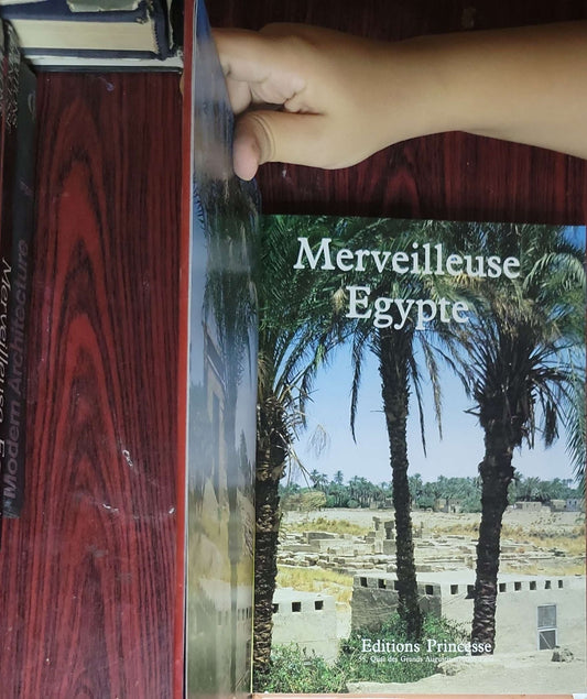Merveilleuse Egypte: (par Christine Guerre)