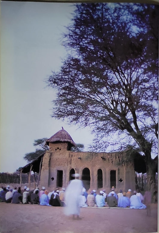 Mimar 39: Architecture in Development: June 1991