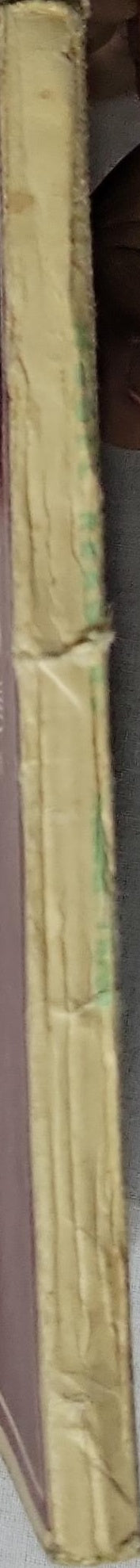 Model Readers: Reader Three