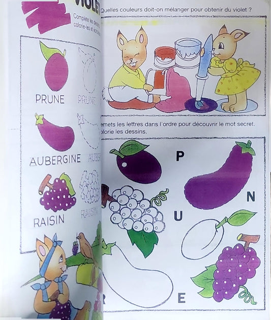 mon grand cahier des couleurs