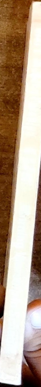 More Modern Parables: Morning Worship in Schools