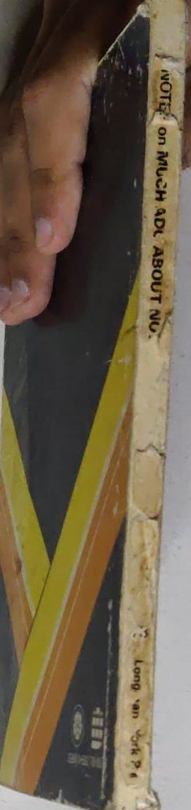 Much Ado About Nothing: York Notes Advanced