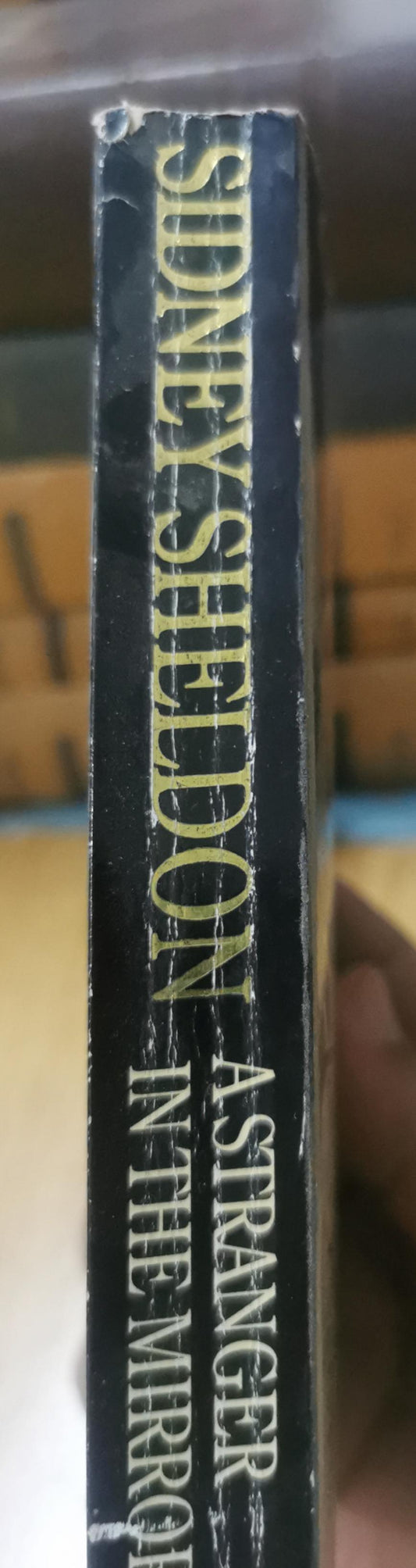 A Stranger in the Mirror