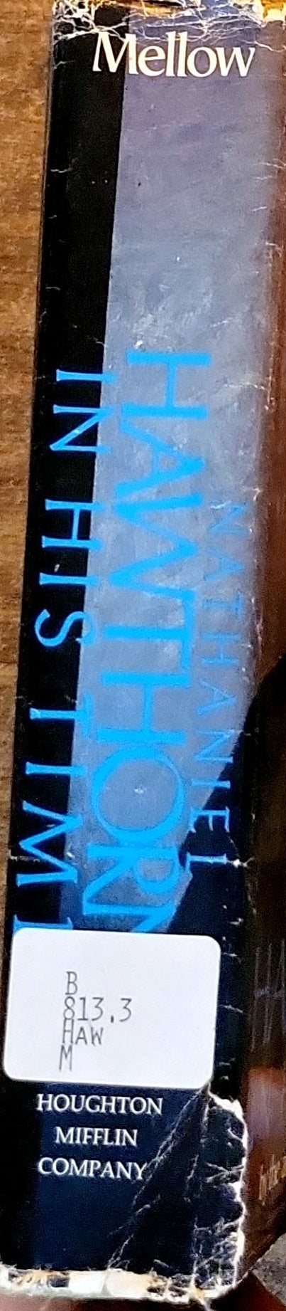 NATHANIEL HAWTHORNE IN HIS TIMES