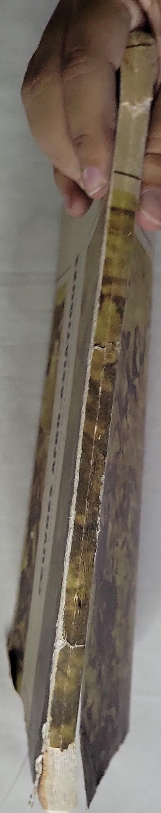 Oeuvres Afro-Asiatiques: Afro-aziatiques écrits I, 1970 (Lotus: Afro-Asian Writings)