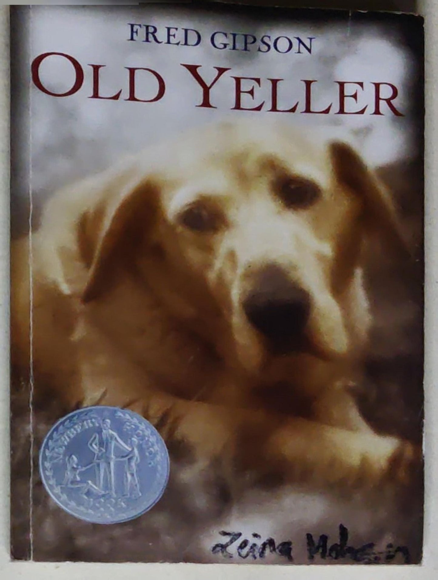 Old Yeller: A Newbery Honor Book, Harper Trophy edition