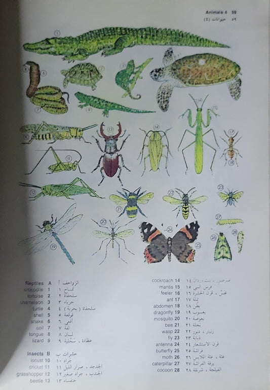 Oxford English-Arabic Picture Dictionary