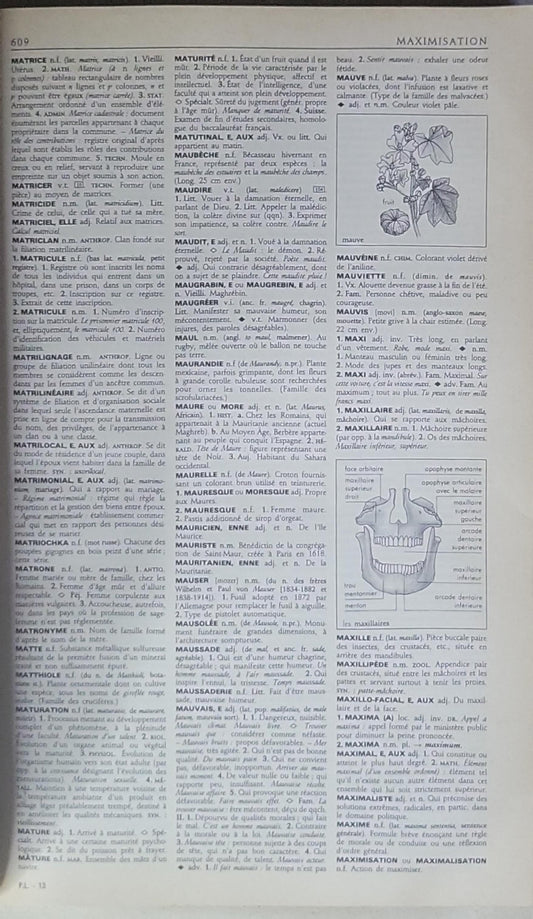 Petit Larousse Illustré