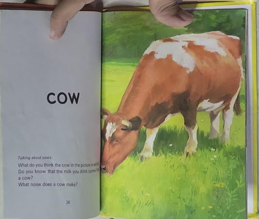 Picture Book: A Ladybird Second Picture Book