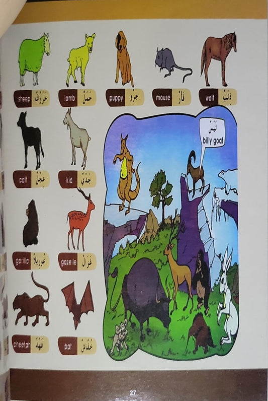 Picture Dictionary for Kids