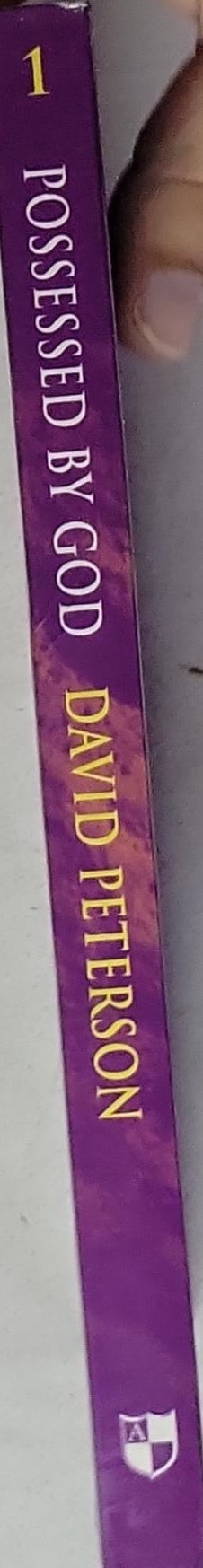 Possessed by God: A New Testament Theology of Sanctification and Holiness