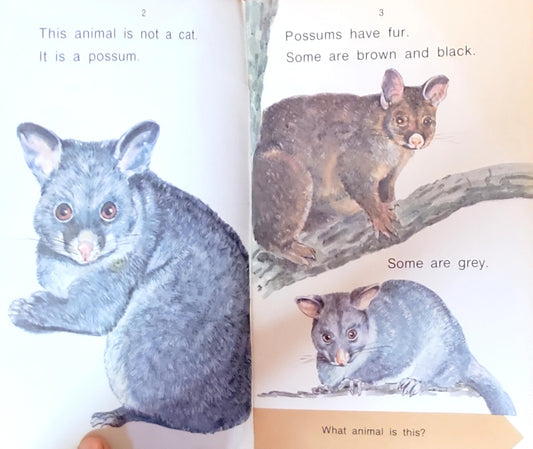 Possums