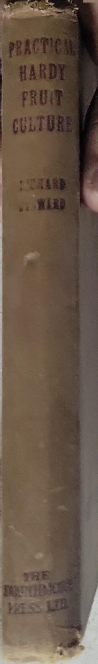 Practical Hardy Fruit Culture