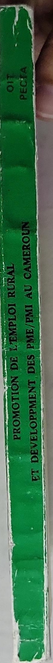 Promotion de l'emploi rural et developpement des PME/PMI au Cameroun: Programme des emplois et des compétences techniques pour l'Afrique (PECTA) – Addis Abeba