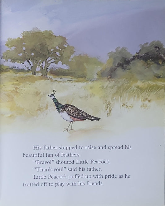 Proud Little Peacock