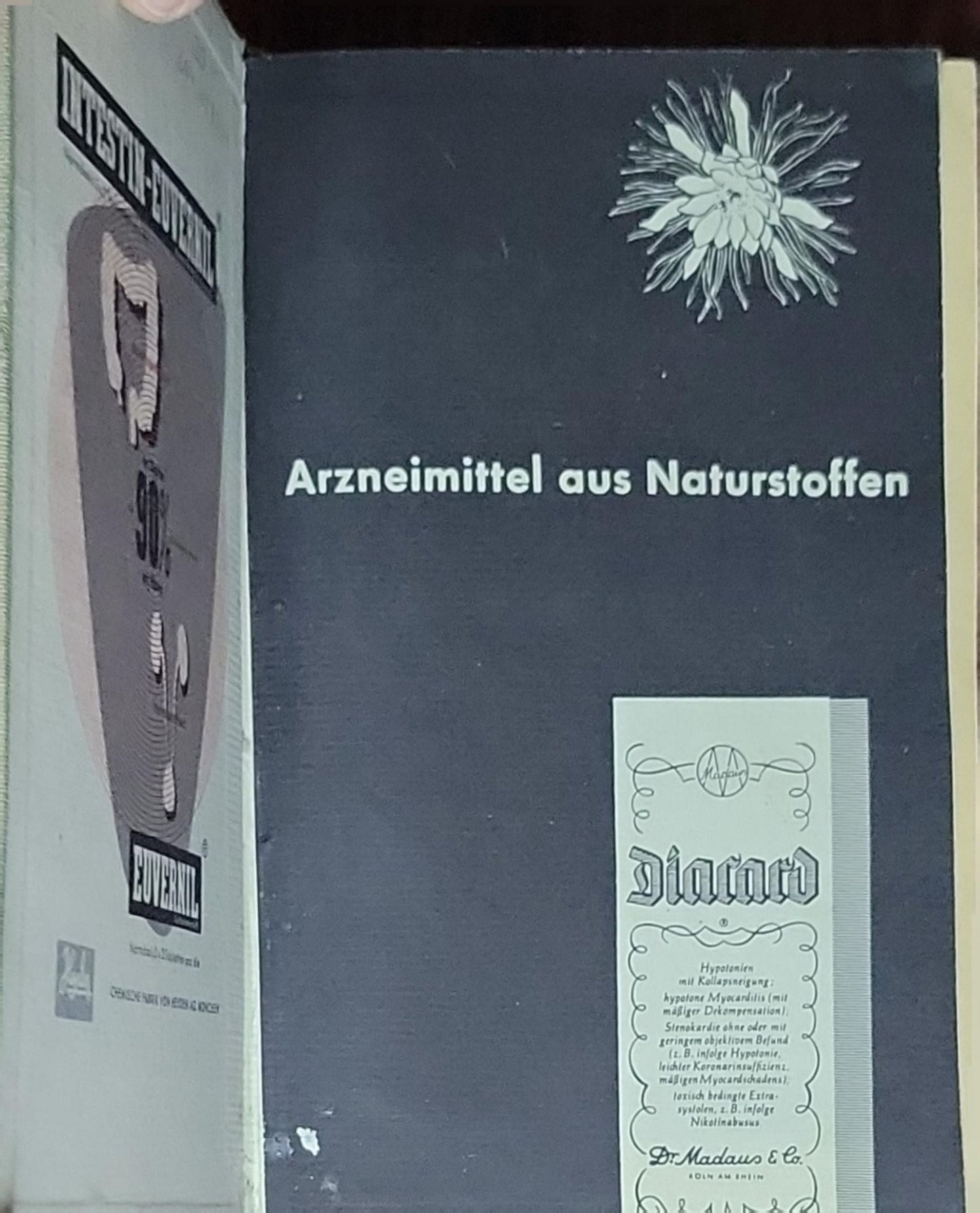 Pschyrembel Klinisches Wörterbuch: mit klinischen Syndromen (123.–153. Auflage)
