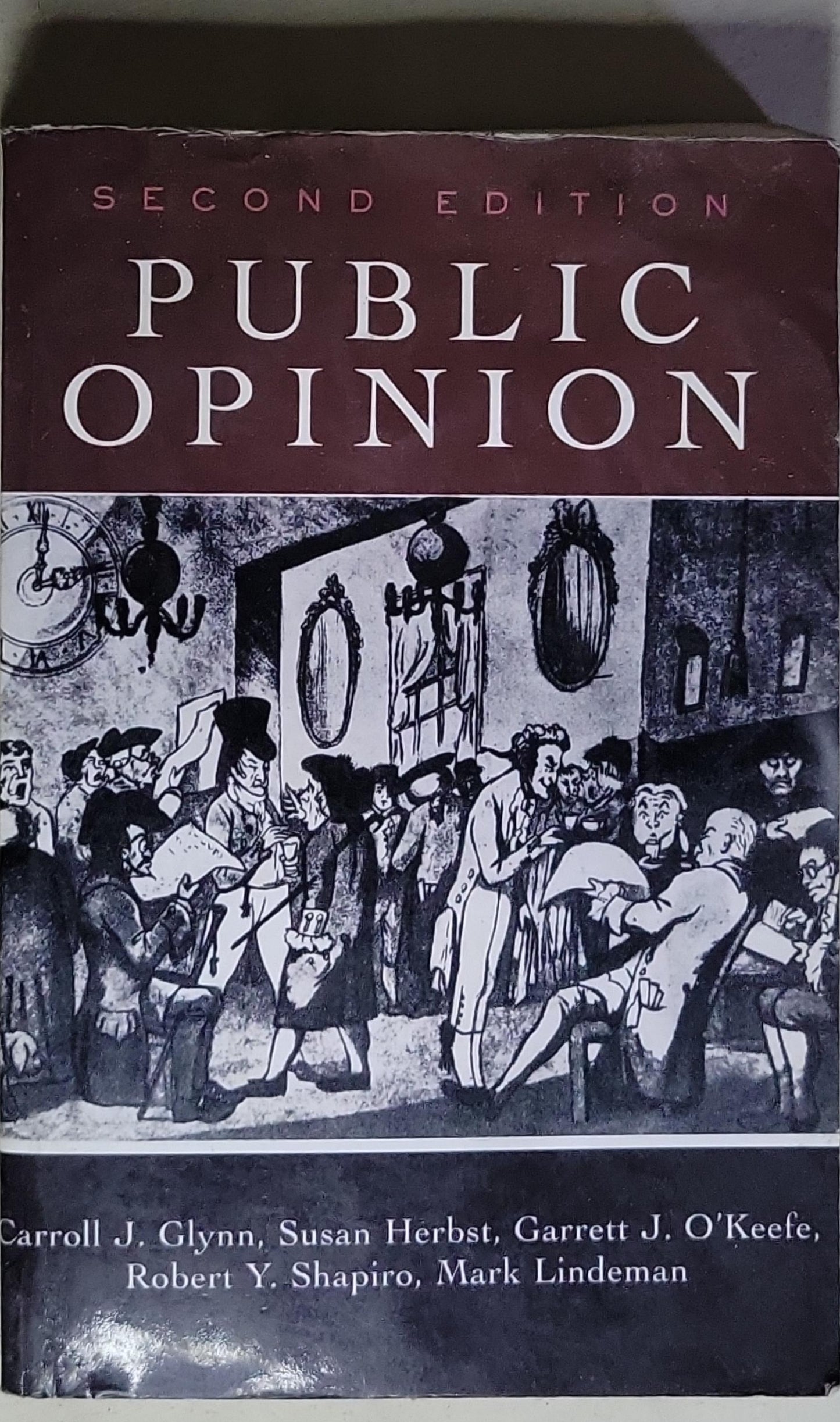 Public Opinion: Second Edition