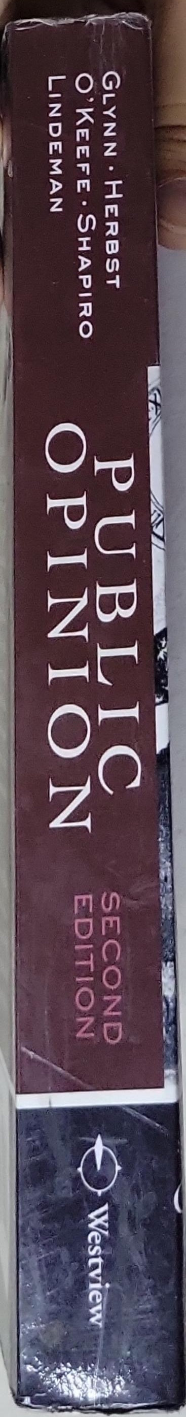 Public Opinion: Second Edition