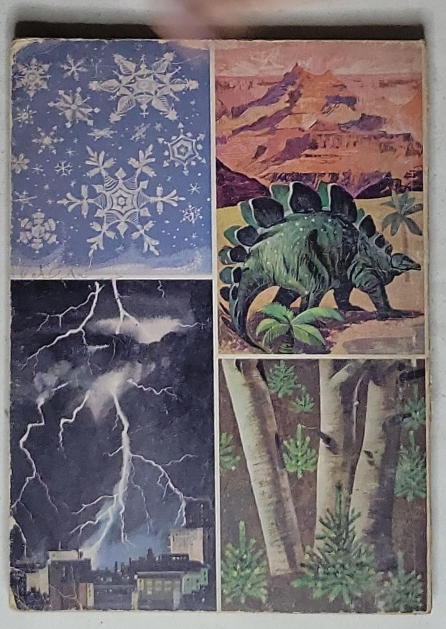 Reader's Digest Science Reader: Green Book