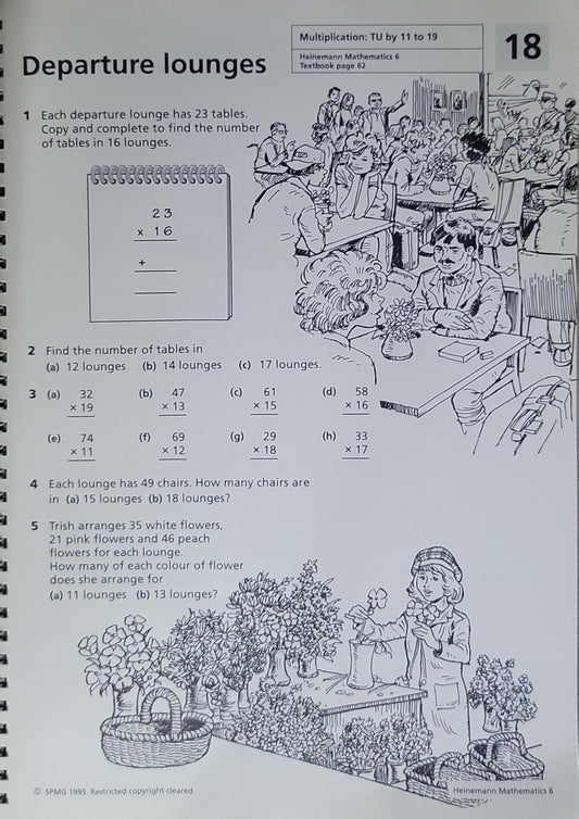 Reinforcement Sheets: Heinemann Mathematics 6