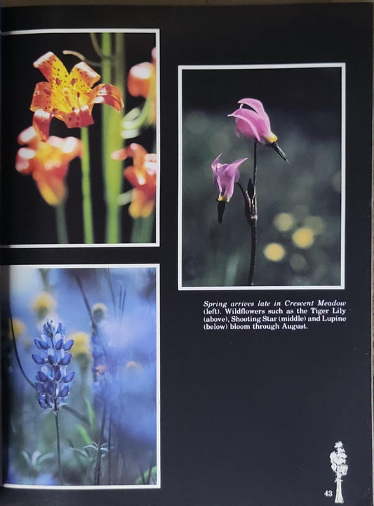 Sequoia Kings Canyon national parks