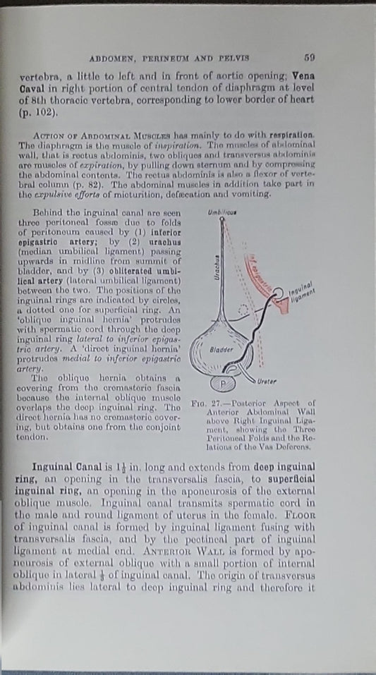 Short Manual of Regional Anatomy: Written for the Medical Student as an Aid to a Rapid Revision of the Whole Subject
