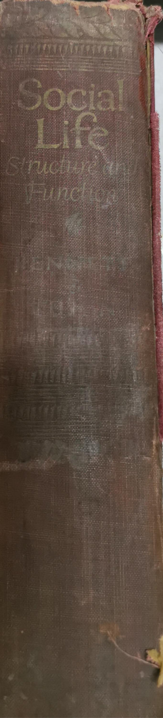 Social Life: Structure and Function By John W. Bennett and Melvin M. Tumin