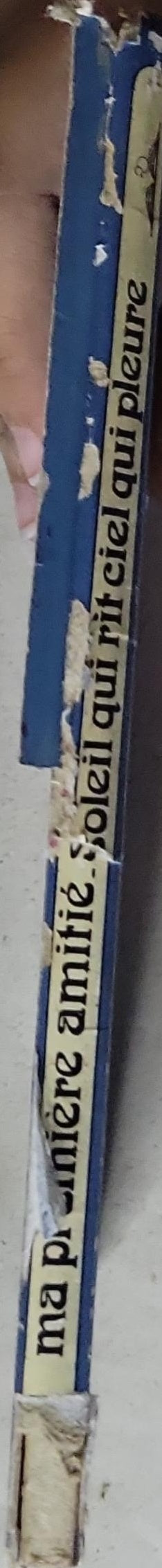 soleil qui rit ciel qui pleure: Ma première amitié