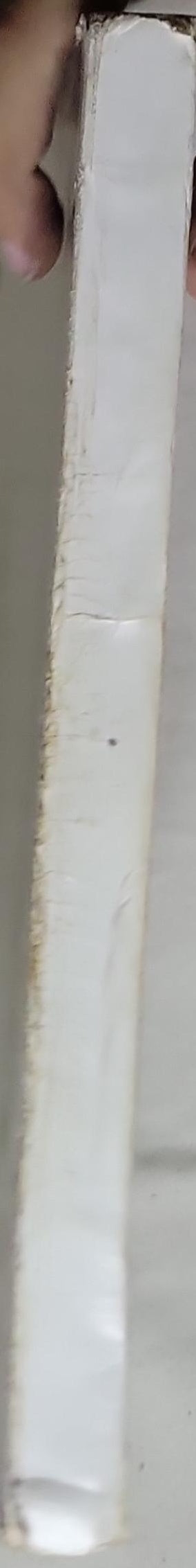 Solid Geometry and Trigonometry: Second Year Secondary Science Section