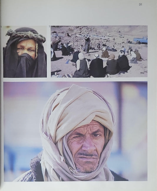 South Sinai: Solomon Region