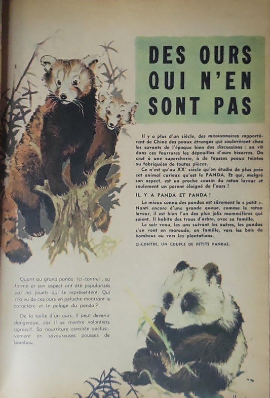 Spirou Album du Journal 80