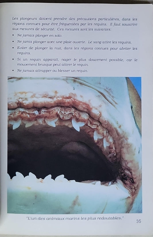 Splendeurs de la Mer Rouge