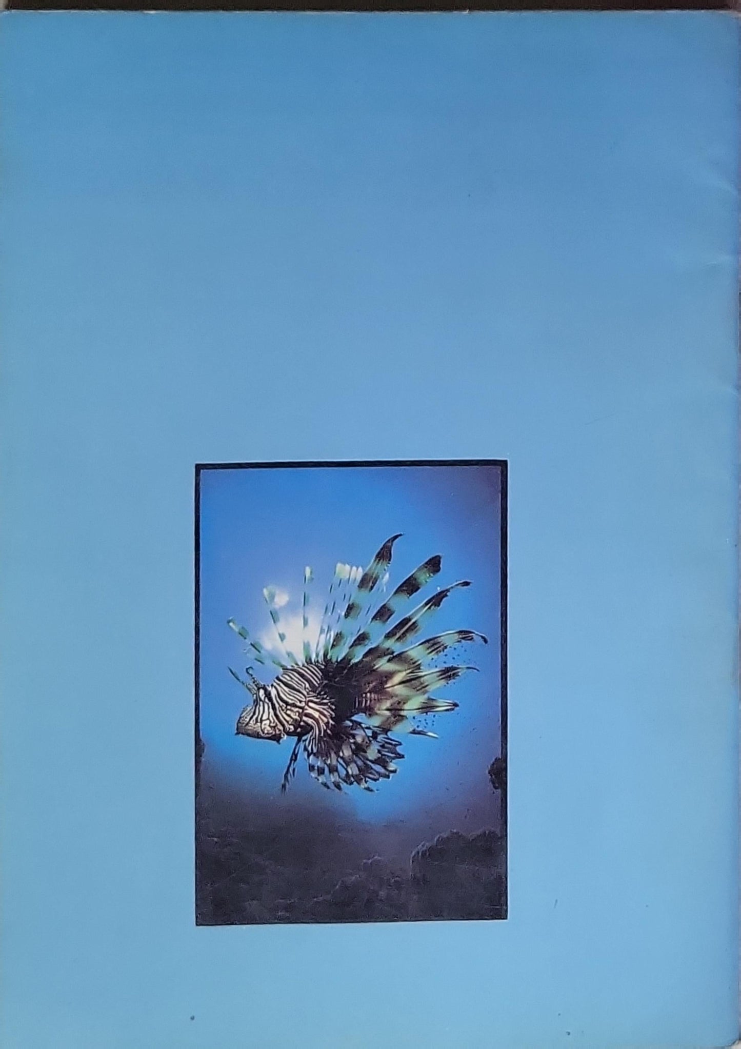 Splendeurs de la Mer Rouge