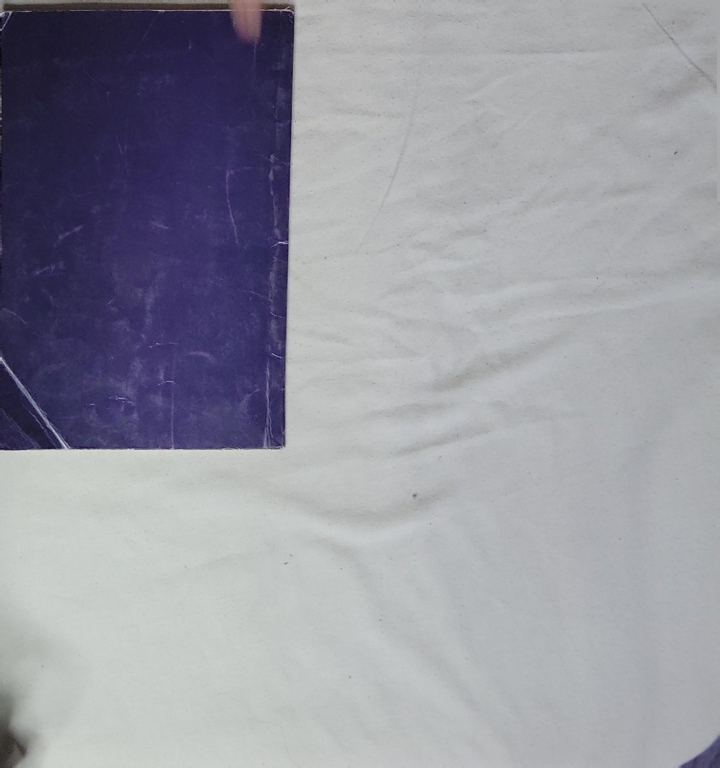 Staying Home: At Home Series: More Vowel Spellings